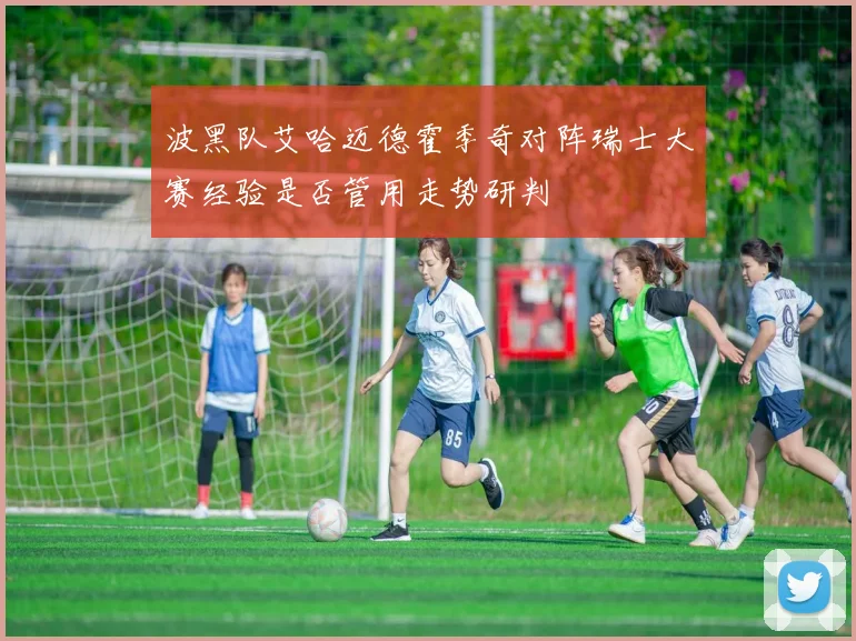 波黑队艾哈迈德霍季奇对阵瑞士大赛经验是否管用走势研判