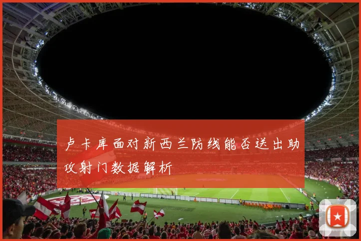 卢卡库面对新西兰防线能否送出助攻射门数据解析