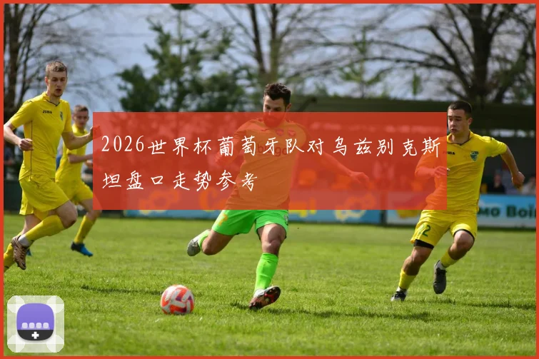 2026世界杯葡萄牙队对乌兹别克斯坦盘口走势参考