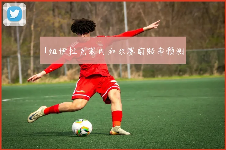 I组伊拉克塞内加尔赛前赔率预测